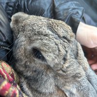 Taissia Krementskaya