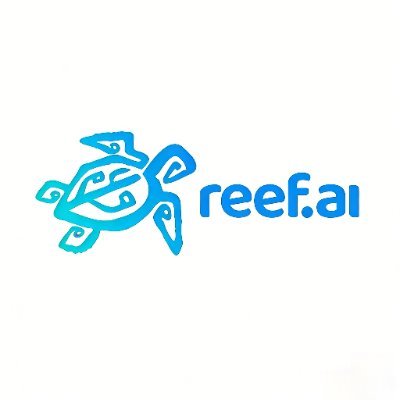 Reef