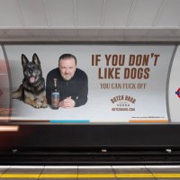 genxxx (Mark) f/you🇨🇦🇺🇸🌷🎄Cowboys #gohabsgo