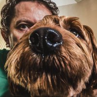 Peter Hearn Isn’t Here Anymore