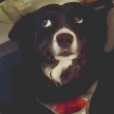 M̆̈ȃ̈d̆̈y̆̈ 🚺A░M░L░O░I░S░T░A░