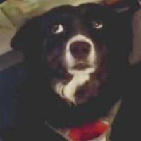 M̆̈ȃ̈d̆̈y̆̈ 🚺A░M░L░O░I░S░T░A░