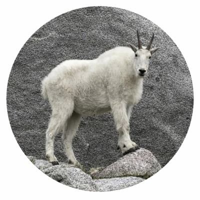 On.Tha.Virge ✝️🇺🇸