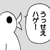 海に潜るハトよめ（１２）