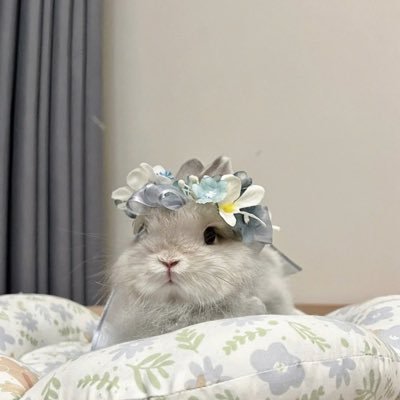 ⪩⪨ nt ᡣ𐭩 ⋆*｡(slow)🐒