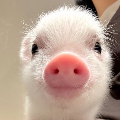 vingt-neuf for eternity good🫧