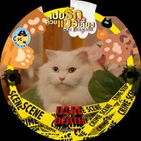 PhoenixCat 🍔 (In𝕂𝕒𝕟𝕥ation) 🇨🇴