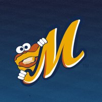 Montgomery Biscuits