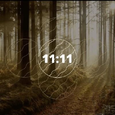 LORD VIANNEY 11:11 🐝