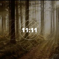 LORD VIANNEY 11:11 🐝