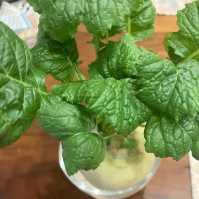 ウール地のPコート8/1幕張参戦