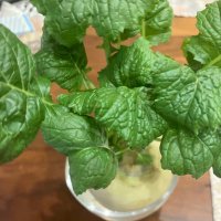 ウール地のPコート8/1幕張参戦