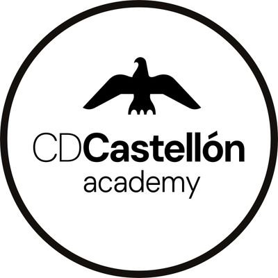 CD Castellón Academy