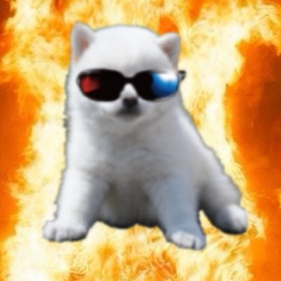 Neo🇯🇵 🌸 🟠🐶🗳️衆院選の不正選挙疑惑💢総点検すべきじゃねっ⁉️💢 🔥🌪️