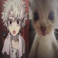 Cecilion💥 SYG ITACHI