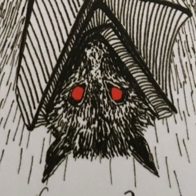 ꩜ fynnyard_bones ꩜