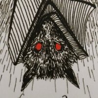 ꩜ fynnyard_bones ꩜