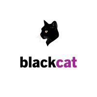 blackcatsupport.co.uk