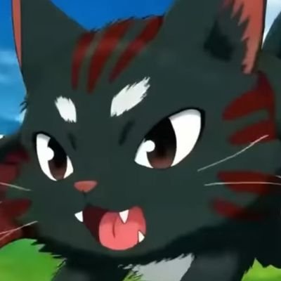 RaidaZERO 🇺🇸🎸