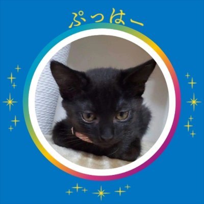 なにわ姐さん🚓◢|R.Fujiwara728