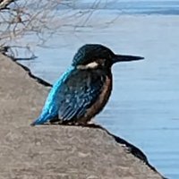 haruki/yuuharu/HaRuKiMaKi/🎧໒꒱いおすと♡