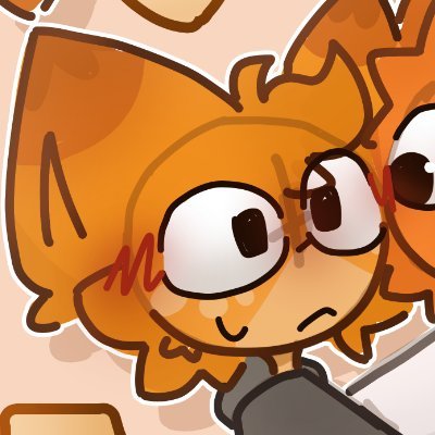 FunnyFox ♡⊹₊˚