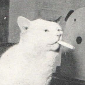 arsii ★ comms open !