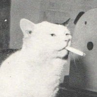 arsii ★ comms open !