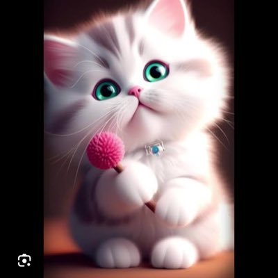 Frhinn Amin proxies🍂💐