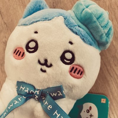 にゃんこおれ🐾