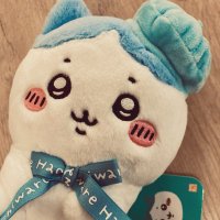 にゃんこおれ🐾