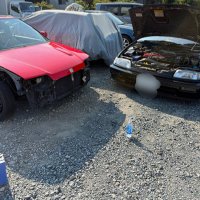 白髪のいしいちゃん