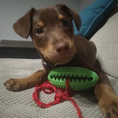 Bożena W #TeamTuska #PokonamyZło