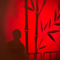 SaraMyPresidentIfromtheNorth