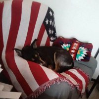 Diana 🦅 🇺🇲🦅