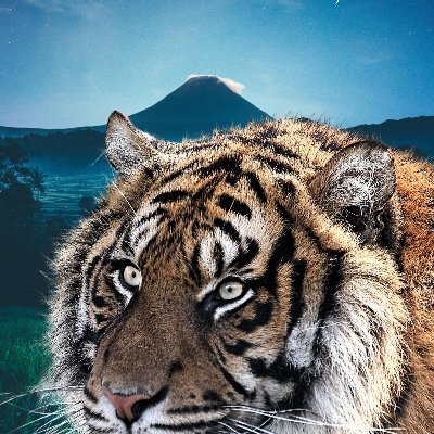 Ghost of Thaddeus Arjuna, a Scribe with tidy typos