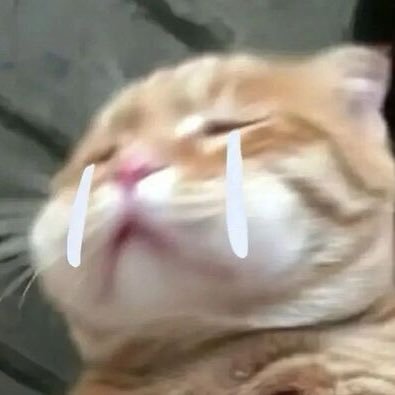 พอมอ ᡣ𐭩