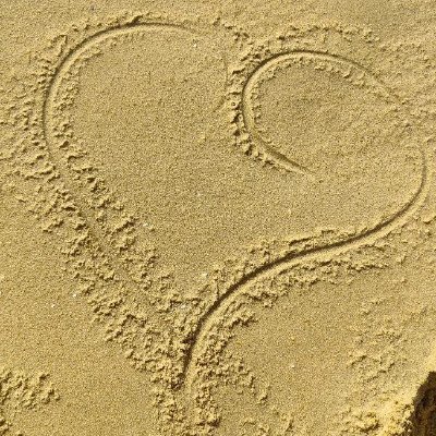 조 - xdxjxox & 01NE