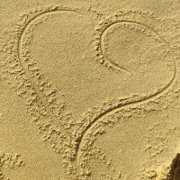 조 - xdxjxox & 01NE