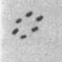 German UFOs of World War II