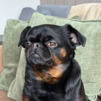 Jesus de Moori Koenig