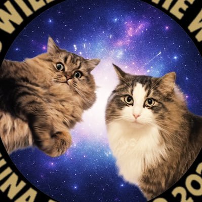 ツナ🐟ゴロウ🍙