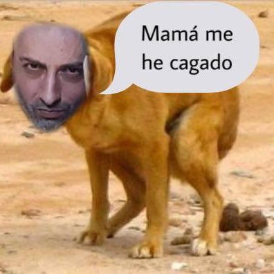 Factores No Verbales🚬🐶🇺🇳