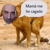 Factores No Verbales🚬🐶🇺🇳