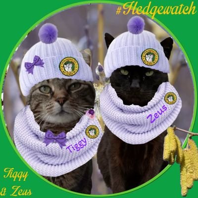 Tiggy & Zeus, Denise(Mum)