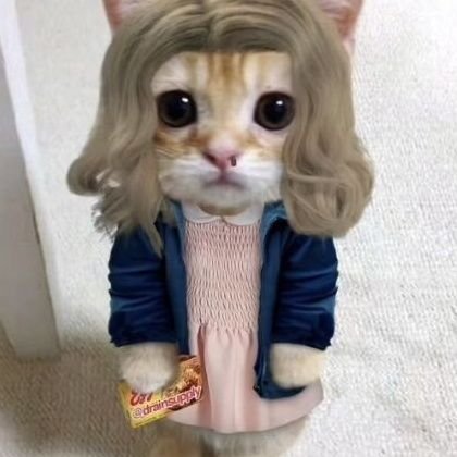 croo 💌 || el confirmed alive