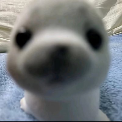 ❨･''⬮ྀིྀི