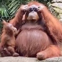 The 1 Billion Year Old Man