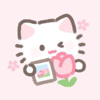 🎀 ╱ 𝗰𝗮𝘁 𓈒 🐱 𓈒