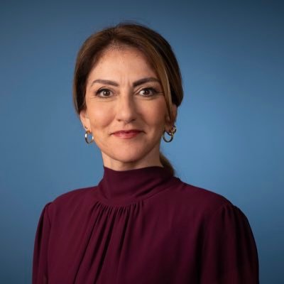 Dilan Yeşilgöz-Zegerius